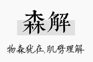 森解名字的寓意及含义