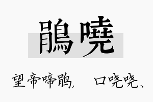 鹃哓名字的寓意及含义