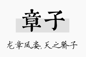 章子名字的寓意及含义