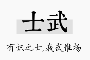 士武名字的寓意及含义