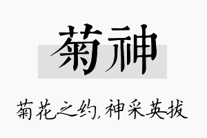 菊神名字的寓意及含义