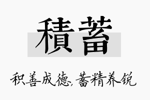 积蓄名字的寓意及含义