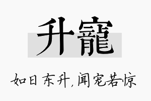 升宠名字的寓意及含义