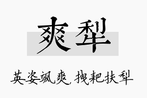 爽犁名字的寓意及含义