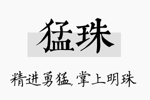 猛珠名字的寓意及含义