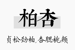 柏杏名字的寓意及含义