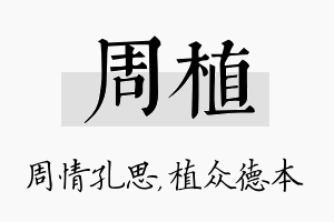 周植名字的寓意及含义