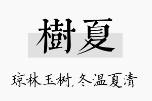 树夏名字的寓意及含义