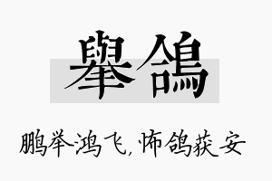 举鸽名字的寓意及含义