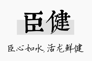 臣健名字的寓意及含义