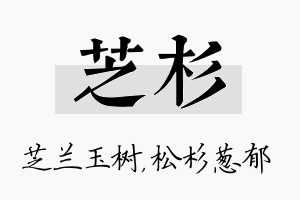 芝杉名字的寓意及含义