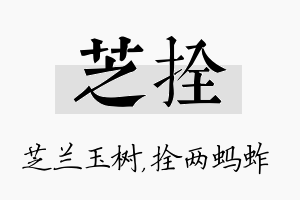 芝拴名字的寓意及含义