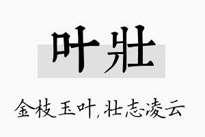 叶壮名字的寓意及含义