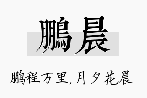 鹏晨名字的寓意及含义