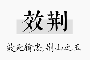 效荆名字的寓意及含义