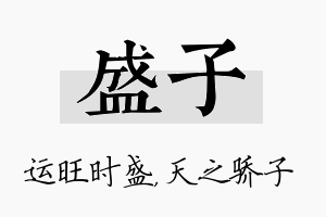 盛子名字的寓意及含义