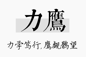 力鹰名字的寓意及含义