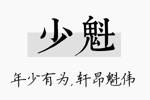 少魁名字的寓意及含义