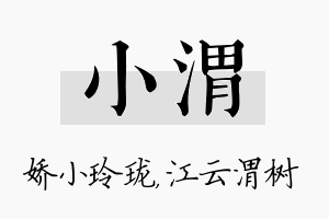 小渭名字的寓意及含义