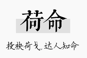 荷命名字的寓意及含义