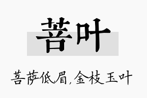 菩叶名字的寓意及含义