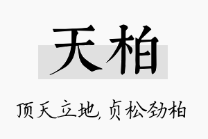 天柏名字的寓意及含义