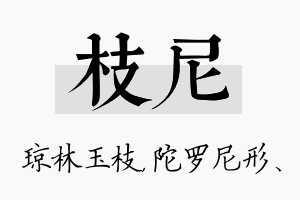 枝尼名字的寓意及含义