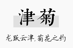 津菊名字的寓意及含义