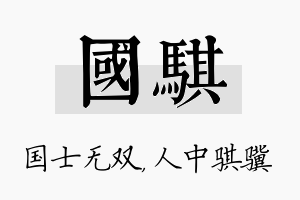 国骐名字的寓意及含义