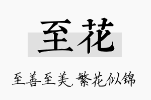 至花名字的寓意及含义