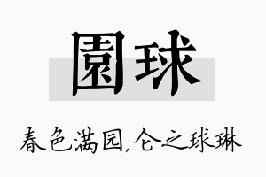 园球名字的寓意及含义