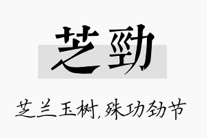 芝劲名字的寓意及含义