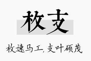 枚支名字的寓意及含义