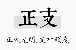 正支名字的寓意及含义