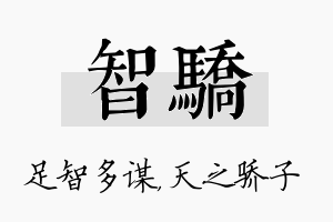 智骄名字的寓意及含义