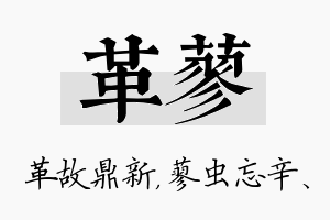 革蓼名字的寓意及含义