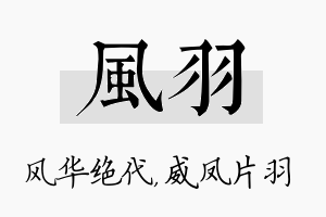 风羽名字的寓意及含义