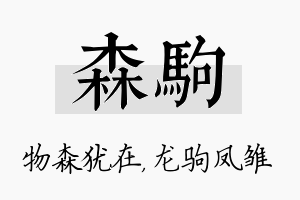 森驹名字的寓意及含义