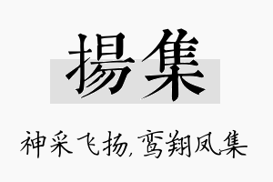 扬集名字的寓意及含义