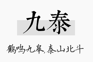 九泰名字的寓意及含义