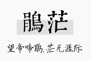 鹃茫名字的寓意及含义