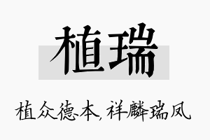 植瑞名字的寓意及含义