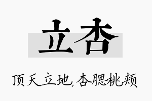 立杏名字的寓意及含义