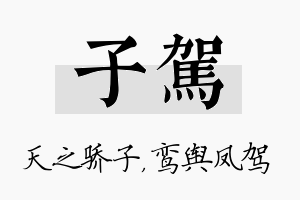 子驾名字的寓意及含义