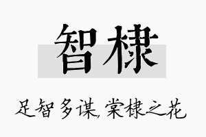 智棣名字的寓意及含义