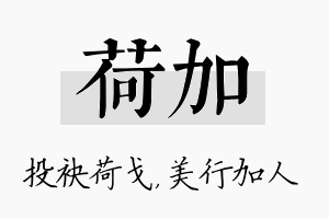 荷加名字的寓意及含义