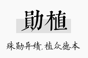 勋植名字的寓意及含义