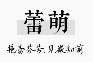 蕾萌名字的寓意及含义