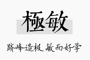 极敏名字的寓意及含义