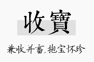 收宝名字的寓意及含义